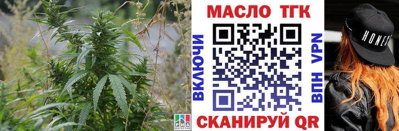 ТГК концентрат Купить закладки Суджа