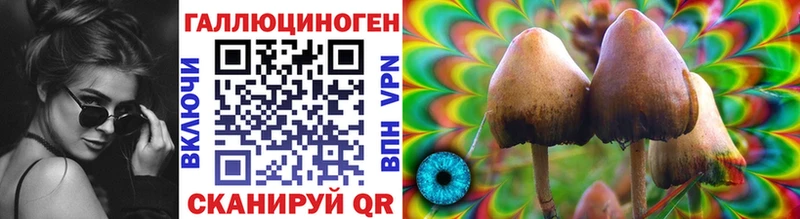 Купить  Суджа  Галлюциногенные грибы Psilocybine cubensis 